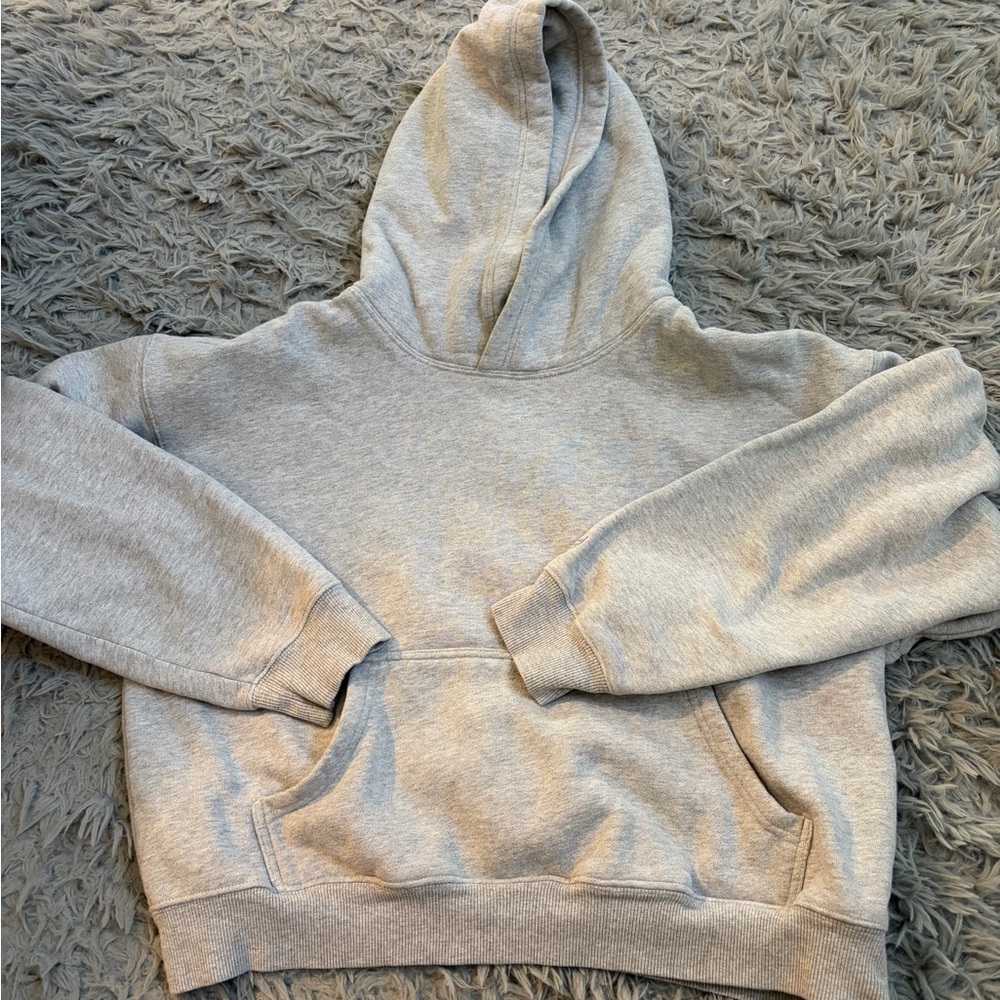Aritzia Heather Gray cropped boyfriend hoodie